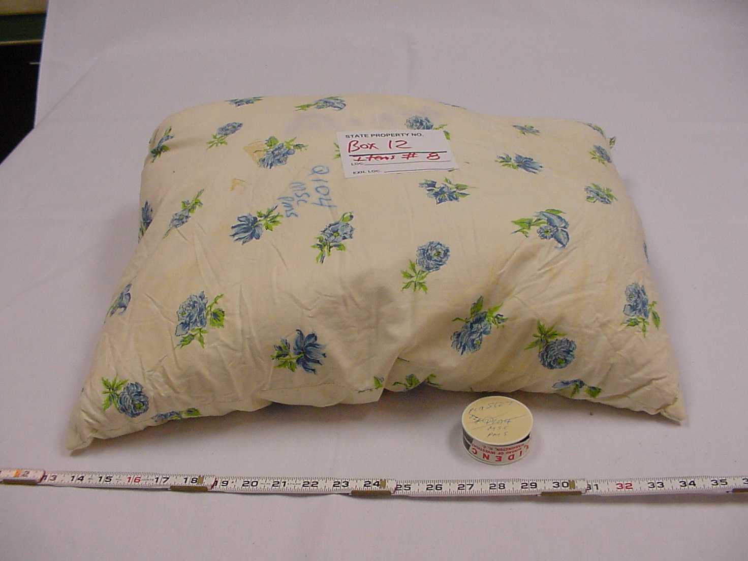 pillow 2.jpg